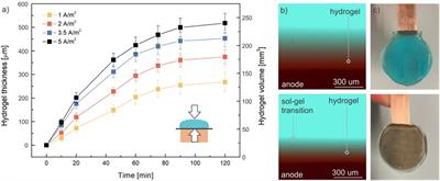 Cu-alginate hydrogels in microfluidic systems: a sustainable catalytic approach for click chemistry